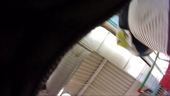 Kaksi kiimainen porno söpöläinen jakaminen fantastinen kusipää