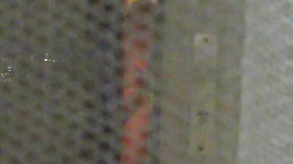 Tyttö, jolla on lasit ja joka rakastaa kukkoa, on törmännyt koira tyyliin