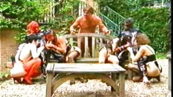 Siro aasialainen, joka rakastaa kukkoa, nuolee isoa sohvalla