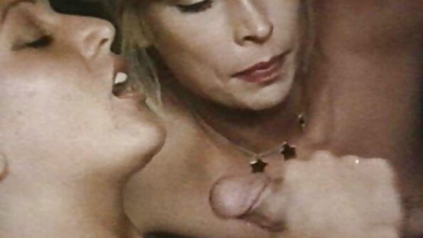 Povekas narttu, joka rakastaa naida, törmäsi toimistopöydälleen